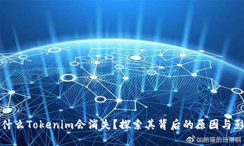 为什么Tokenim会消失？探索其背后的原因与影响
