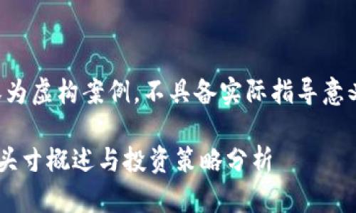 注：以下内容为虚构案例，不具备实际指导意义，仅供参考。

雪梨虚拟币头寸概述与投资策略分析