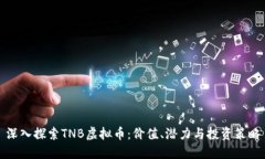 深入探索TNB虚拟币：价值、潜力与投资策略