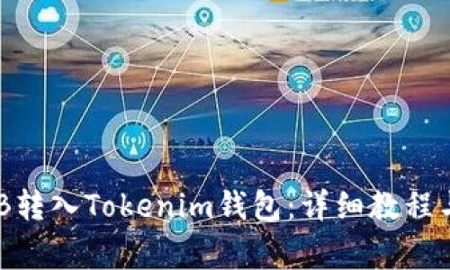 如何将BNB转入Tokenim钱包：详细教程与注意事项