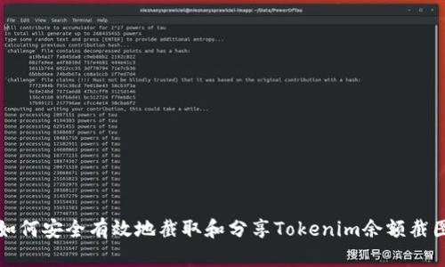 如何安全有效地截取和分享Tokenim余额截图