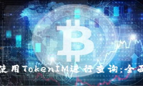 如何使用TokenIM进行查询：全面指南