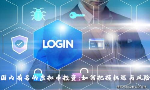 国内有名的虚拟币投资：如何把握机遇与风险