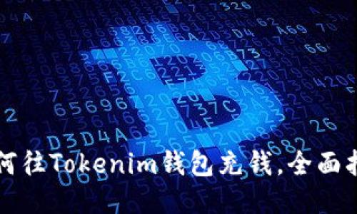 如何往Tokenim钱包充钱，全面指南