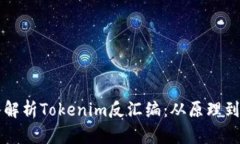 深入解析Tokenim反汇编：从原理到应用