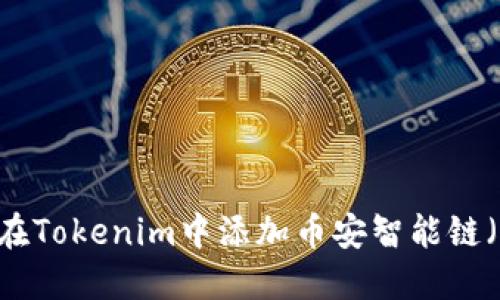 如何在Tokenim中添加币安智能链（BSC）