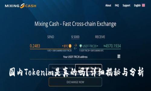 国内Tokenim是真的吗？详细揭秘与分析