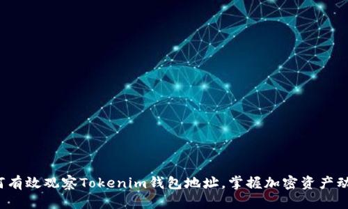 如何有效观察Tokenim钱包地址，掌握加密资产动态？
