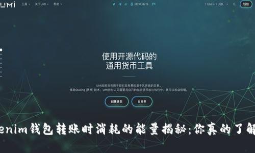 Tokenim钱包转账时消耗的能量揭秘：你真的了解吗？