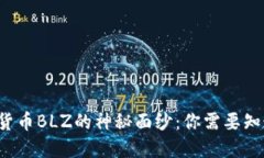 揭开虚拟货币BLZ的神秘面纱：你需要知道的一切