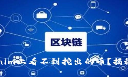 为什么在Tokenim上看不到挖出的币？揭秘你的挖矿疑惑