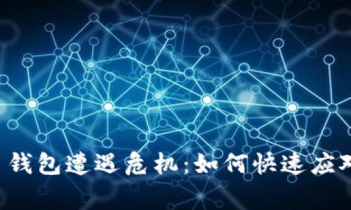 当虚拟币钱包遭遇危机：如何快速应对与报警？