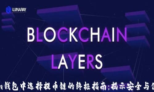 
在Tokenim钱包中选择提币链的终极指南：揭示安全与便捷的秘诀