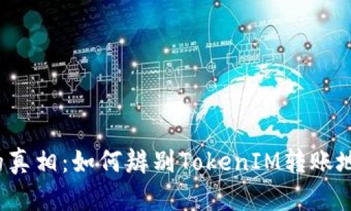 揭开隐藏的真相：如何辨别TokenIM转账地址的真伪？