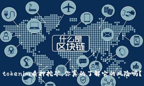 tokenim质押挖矿，你真的了解它的风险吗？