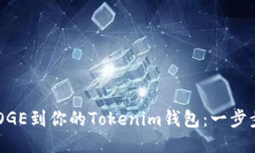 轻松添加DOGE到你的Tokenim钱包：一步步教你搞定！