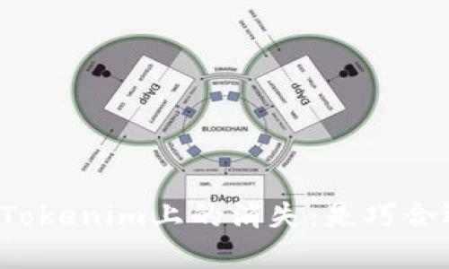 狗狗币在Tokenim上的消失：是巧合还是隐患？