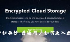 揭开虚拟币的神秘面纱：普通用户如何走入数字