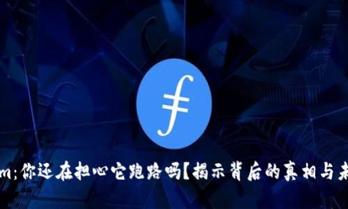 Tokenim：你还在担心它跑路吗？揭示背后的真相与未来潜力