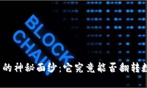揭开DMX虚拟币的神秘面纱：它究竟能否翻转数字资产的未来？