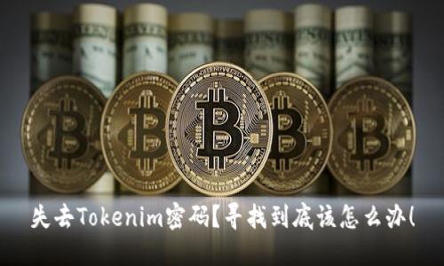 失去Tokenim密码？寻找到底该怎么办！