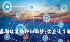 揭开虚拟币奖励政策的神秘面纱：你应该了解的