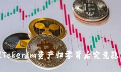 难以置信！Tokenim资产归零背后究竟隐藏了什么？