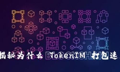 突破困境！揭秘为什么 TokenIM 打包速度慢的真相