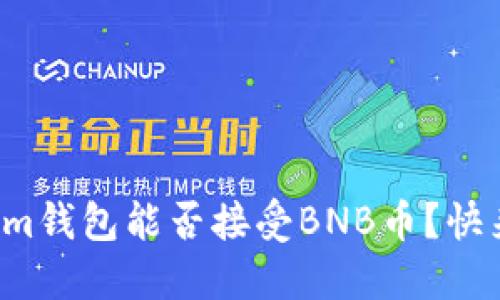Tokenim钱包能否接受BNB币？快来揭秘！