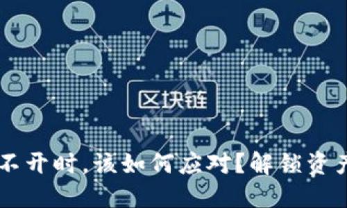 当虚拟币钱包打不开时，该如何应对？解锁资产安全的实用指南