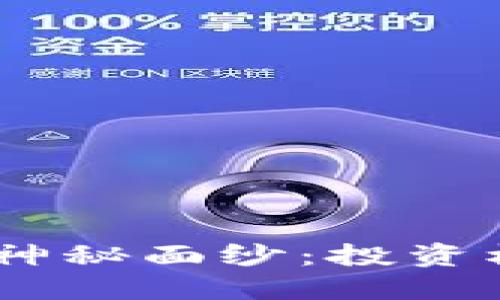 揭开XBC虚拟币的神秘面纱：投资机会还是炒作泡沫？