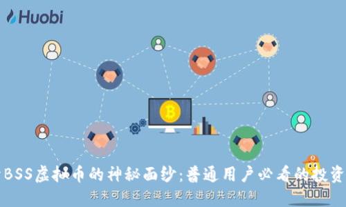 揭开BSS虚拟币的神秘面纱：普通用户必看的投资指南