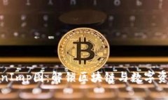 探索TokenImp图：解锁区块链与数字资产的秘密