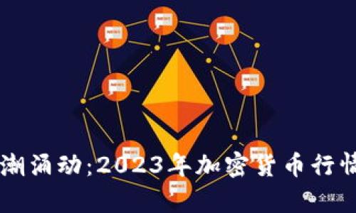 当虚拟币情潮涌动：2023年加密货币行情走势全解析