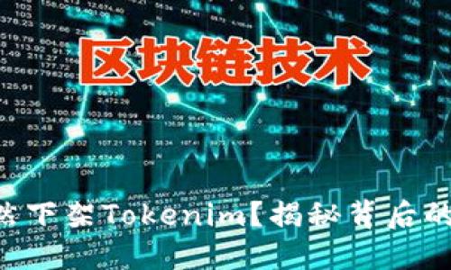 苹果为何悄然下架Tokenim？揭秘背后的原因与影响！