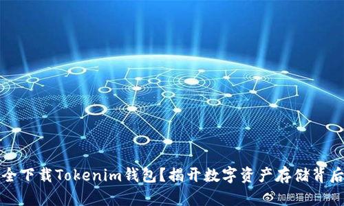 如何安全下载Tokenim钱包？揭开数字资产存储背后的秘密