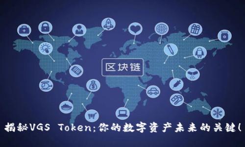 揭秘VGS Token：你的数字资产未来的关键！