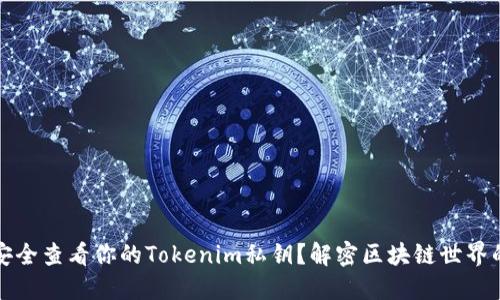 如何安全查看你的Tokenim私钥？解密区块链世界的秘密