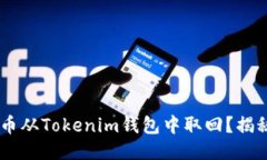 如何安全地将DOT币从Tokenim钱包中取回？揭秘必知