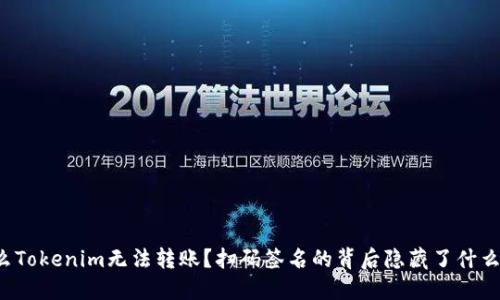 为什么Tokenim无法转账？扫码签名的背后隐藏了什么秘密？