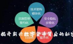 雷霆虚拟币：揭开新兴数字货币背后的秘密与未