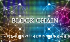 如何在Tokenim钱包中找到YFLL币？带你了解背后的原