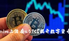 为什么Tokenim上没有uBTC？揭开数字货币背后的秘密
