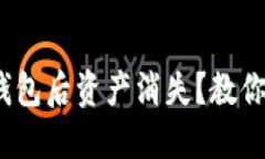 导入Tokenim钱包后资产消失？教你如何轻松找回！