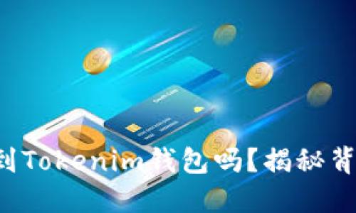 比特币能转移到Tokenim钱包吗？揭秘背后的操作技巧！