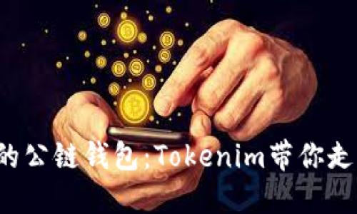 轻松创建自己的公链钱包：Tokenim带你走向区块链世界！