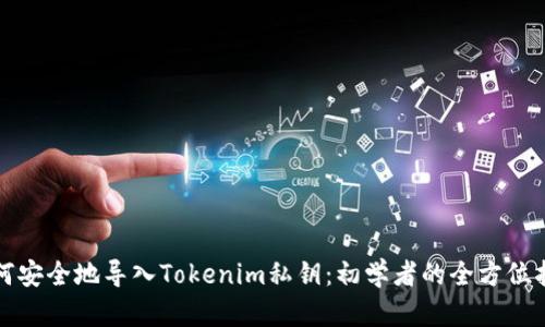 如何安全地导入Tokenim私钥：初学者的全方位指南