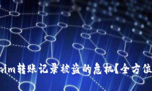 如何应对Tokenim转账记录被盗的危机？全方位解决方案揭秘！