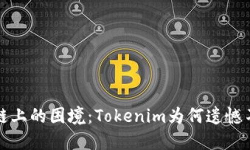  币安链上的困境：Tokenim为何遗憾不支持？