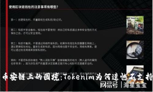  币安链上的困境：Tokenim为何遗憾不支持？